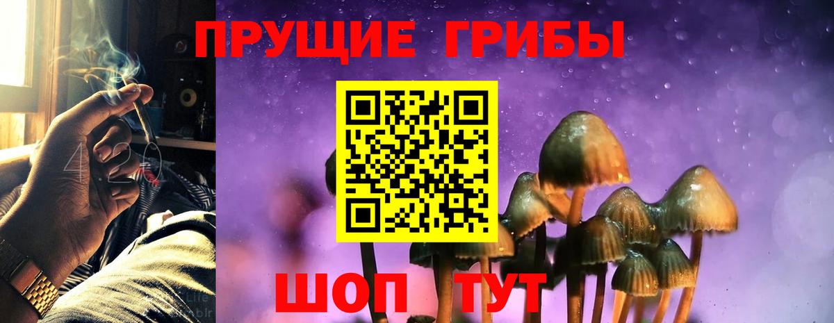 продажа наркотиков  Псилоцибиновые грибы прущие грибы  Вход с VPN  Краснознаменск 